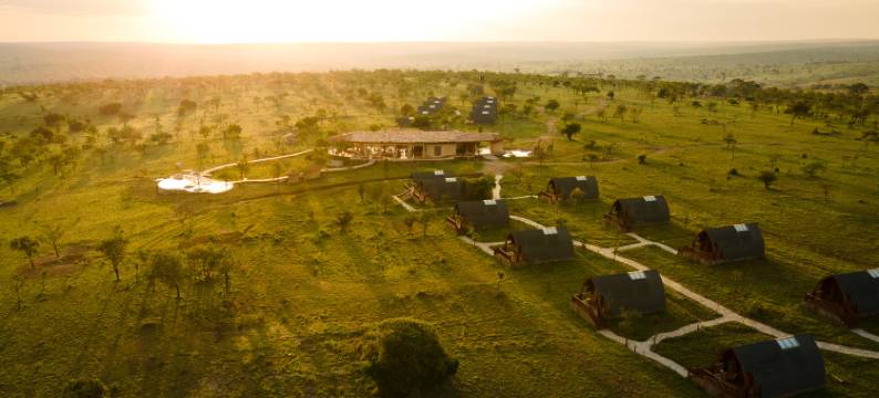 塞伦盖蒂方舟木屋营地(Serengeti Ark Safari Lodge - Kogatende)图片