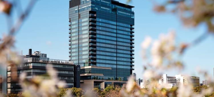 大阪柏典酒店(Patina Osaka)图片