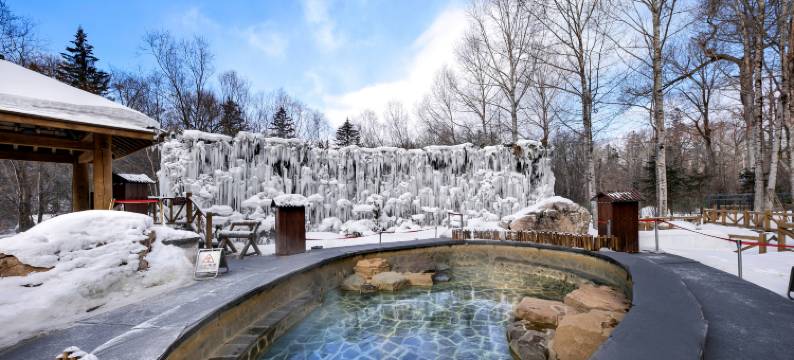 长白山蓝景国际生态交流中心图片