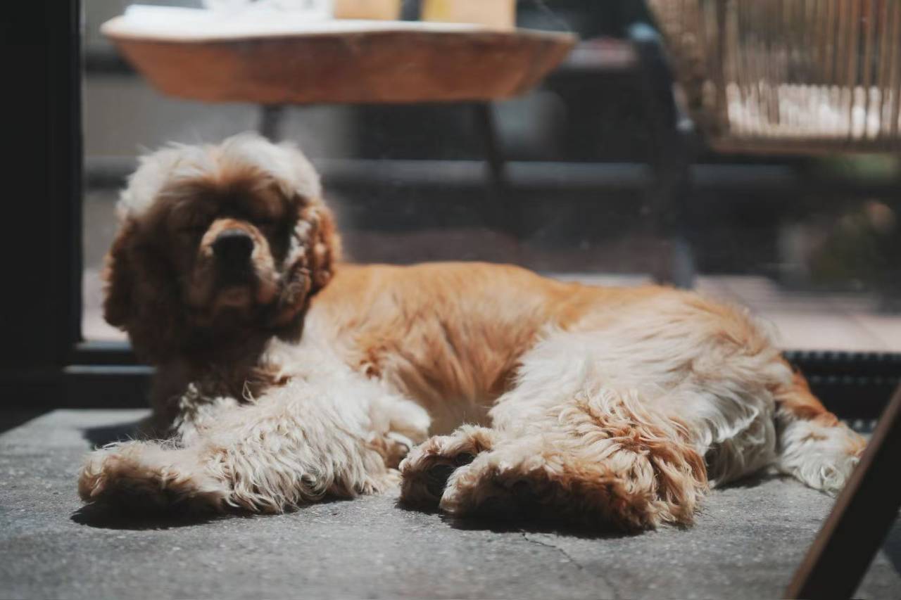 云孚里云宿·镜水云居私汤民宿(九寨沟千古情店)图片