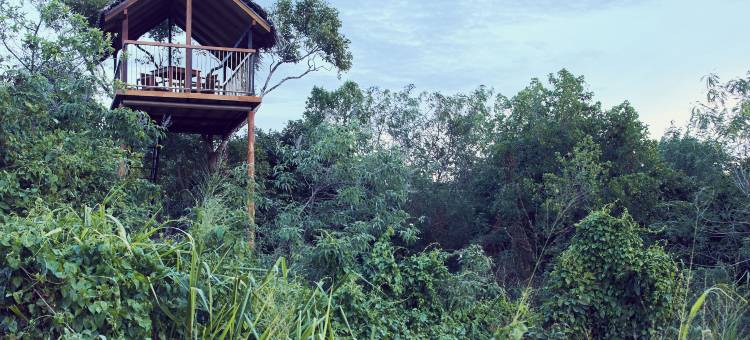 杰特威水田奢居(Jetwing Vil Uyana, A Luxury Reserve)图片