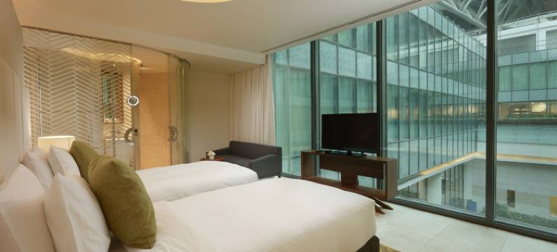 阿罗特尔马斯喀特酒店-机场中转(Aerotel Muscat - Airport Transit Hotel)图片