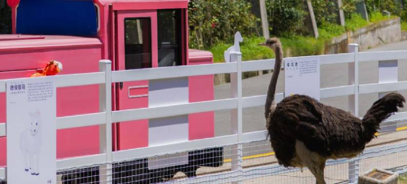 那云度假村云养度假酒店图片