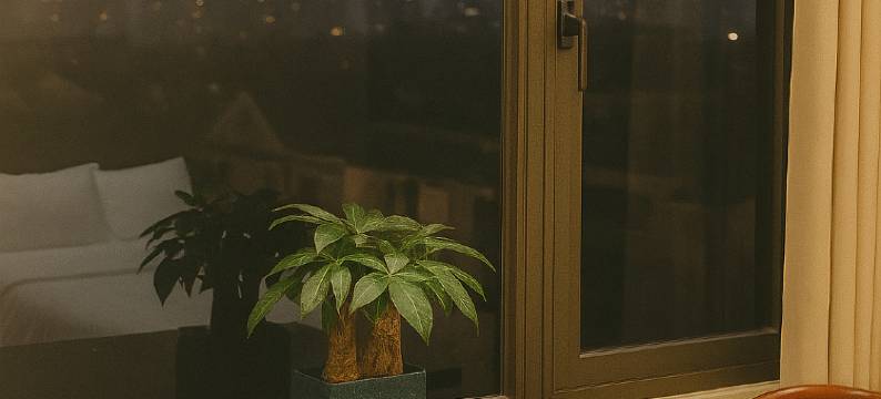 明芳酒店(MingFang Hotel)图片