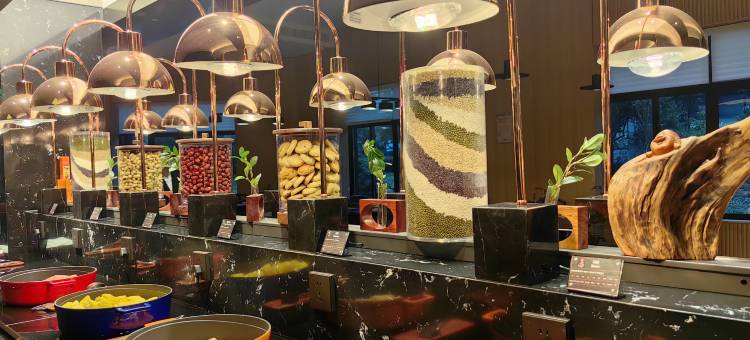 龙天小镇度假区番唐酒店图片