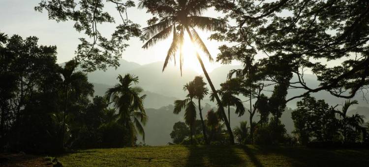 克洛庄园·七天使(Clodagh Manor House by Seven Angels)图片