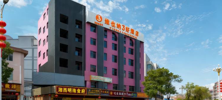 维也纳3好酒店(深圳坪山高铁站店)图片