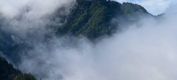 松阳九舍民宿图片