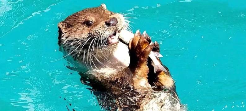 悦居酒店(九寨沟汽车站店)图片