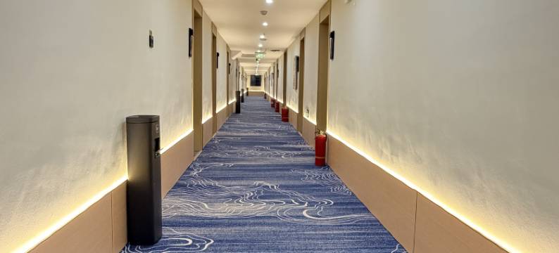 嵩县金茂假日酒店图片