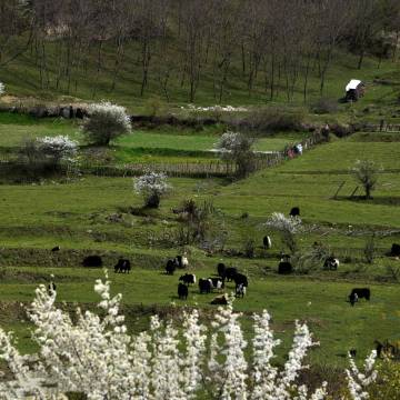 九寨康莱德酒店图片