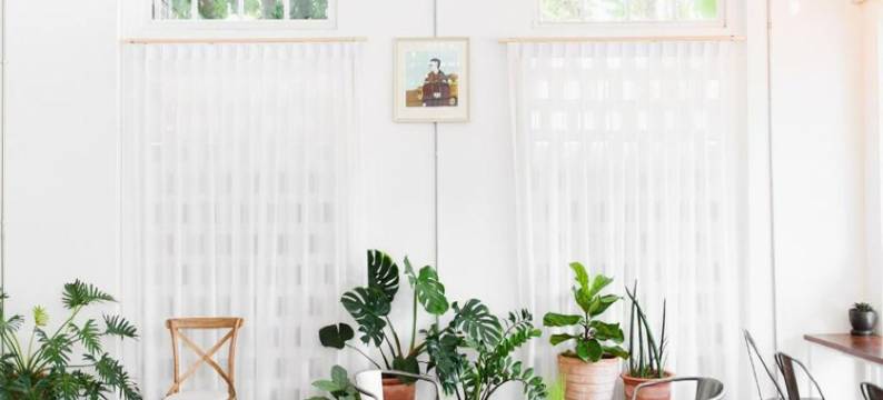 南邦猛犸青年旅馆(Memmoth Cafe & Hostel in Lampang)图片