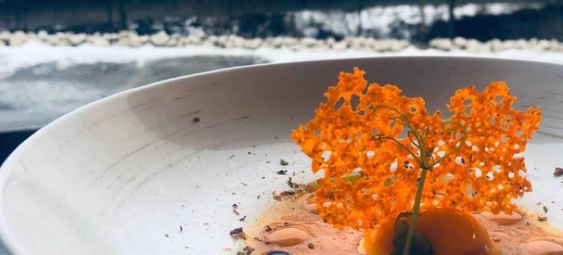 尊斯特伦霍夫酒店(Wellness Hotel ZUM STERNENHOF)图片