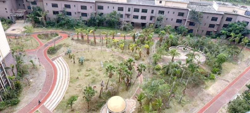 徐闻晨兴海景公寓图片