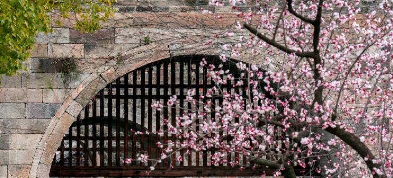 盐官潮乐之城宣德门酒店图片