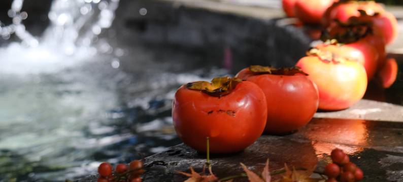 禄丰锶泉酒店图片