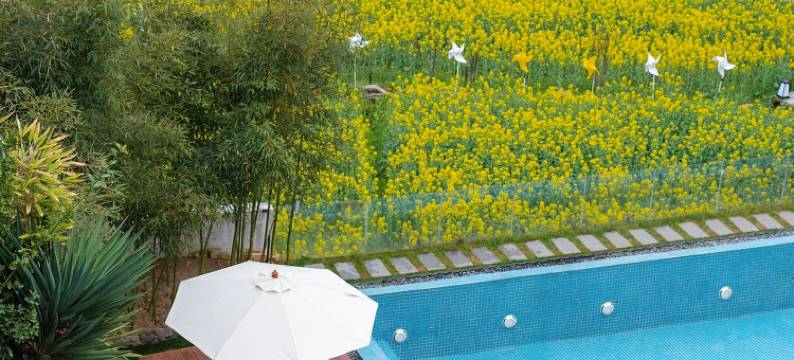 婺源·云上青野·Villa设计师美宿图片