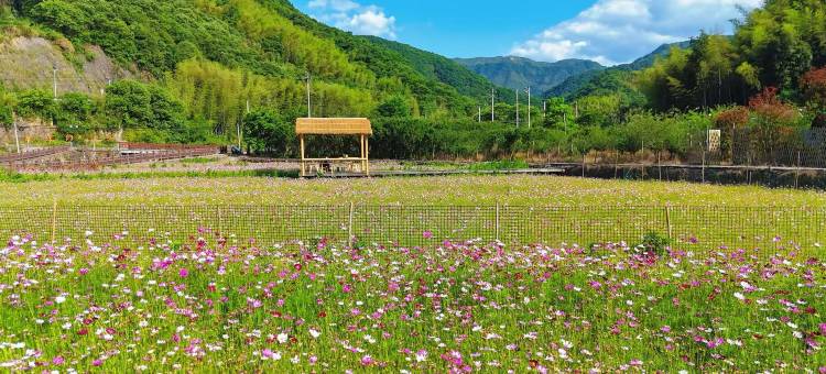 沐格山居(绍兴覆卮山店)图片