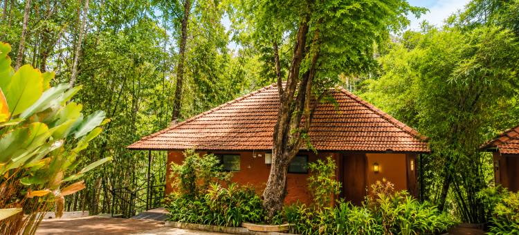 甘露荟·多米尼克瓦亚纳德自然生态度假与水疗中心(Amritara Dominic's Nature Retreat & Spa Wayanad)图片