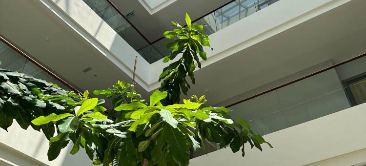 纪悦酒店(The Gallivant Hotel)图片