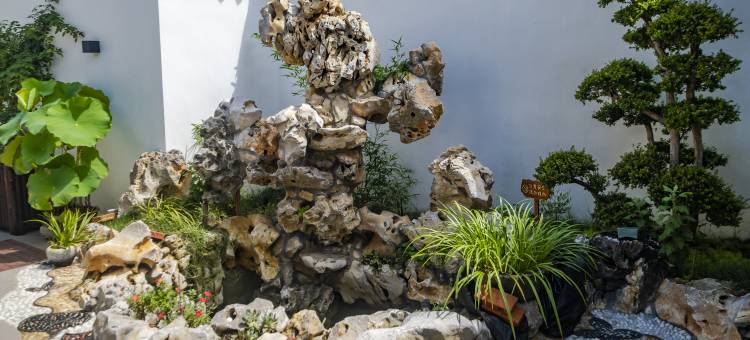 吴中区金庭劳舍民宿(西山店)图片