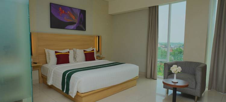 萨芙兰大酒店(Grand Safran Hotel)图片