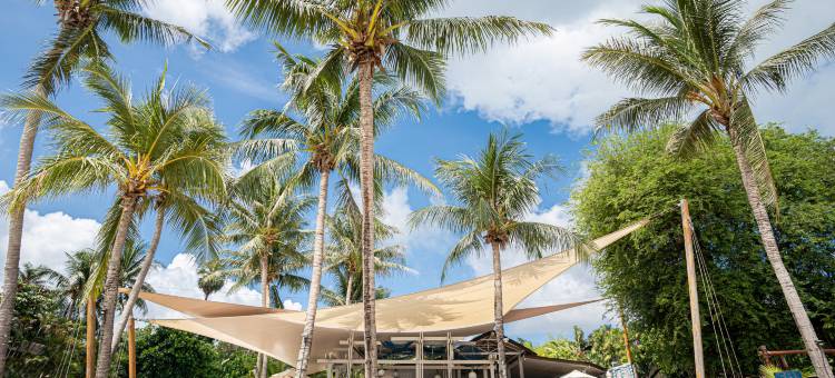 巴塞罗椰子岛酒店(椰子岛乡村海滩度假村)(Barceló Coconut Island – Formerly The Village Coconut Island)图片