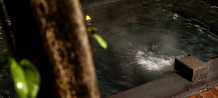 清远三禾稻里温泉度假村图片