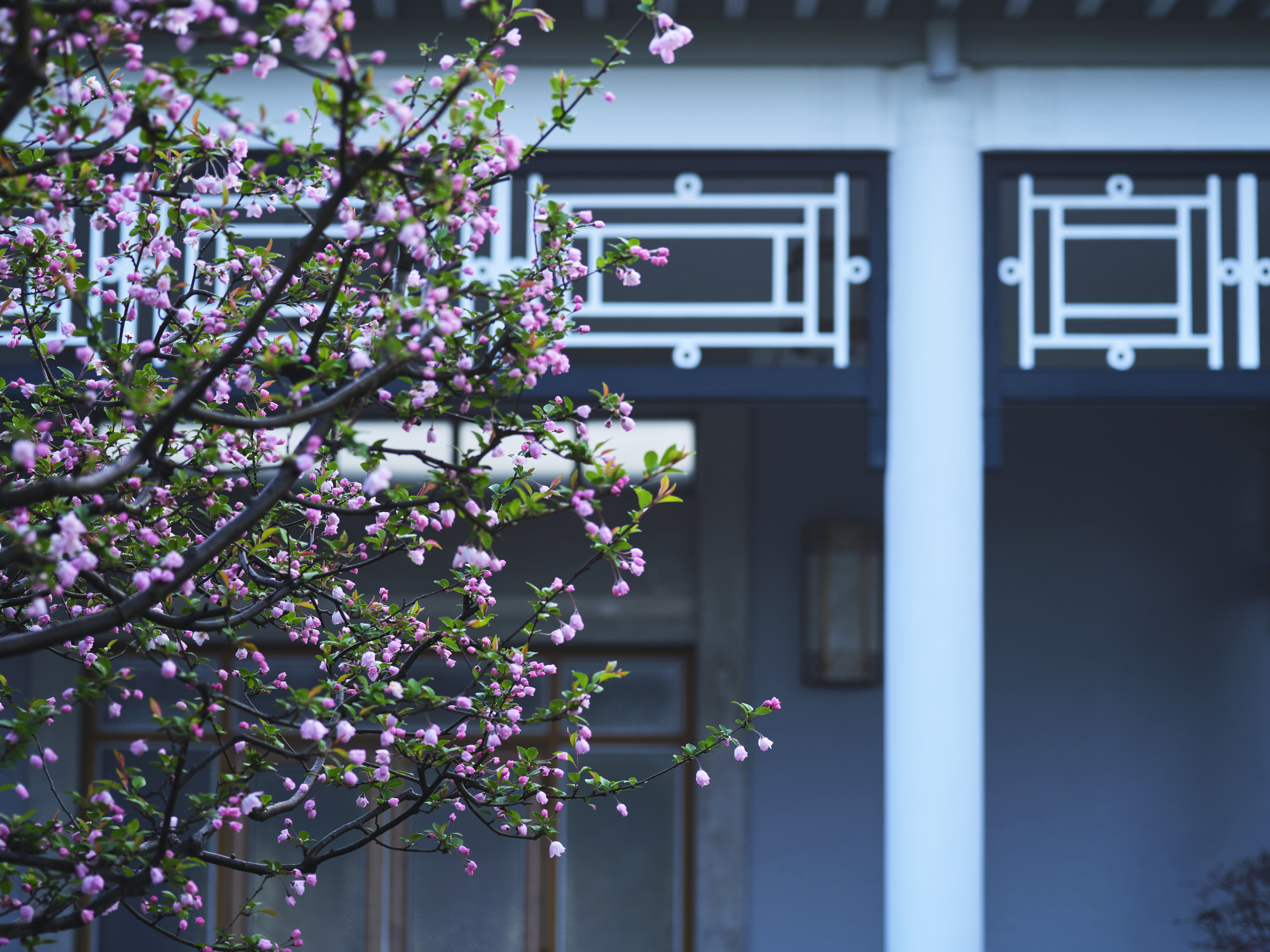 West Lake State GuesthouseOver view