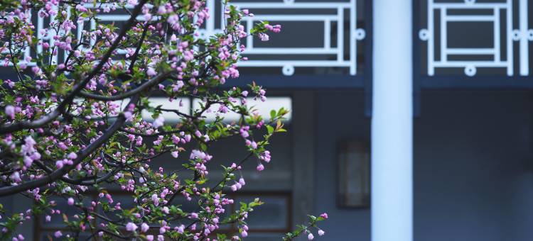 杭州西湖国宾馆·西湖第一名园图片