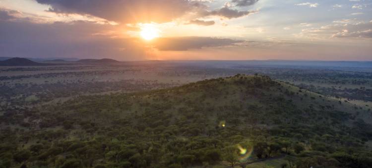 塞蕾娜塞伦盖蒂野生动物园小屋(Serengeti Serena Safari Lodge)图片