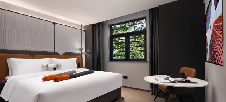 朵兰达V酒店(长沙五一广场湘雅附一店)图片