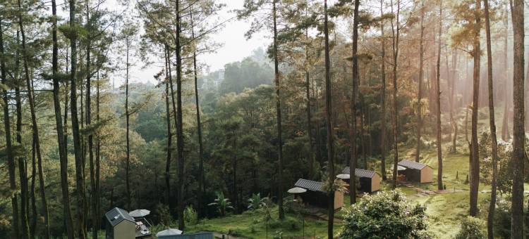 波波卡宾帕杜桑酒店(Bobocabin Pacet, Mojokerto)图片