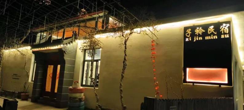 天津梨木台子衿民宿图片