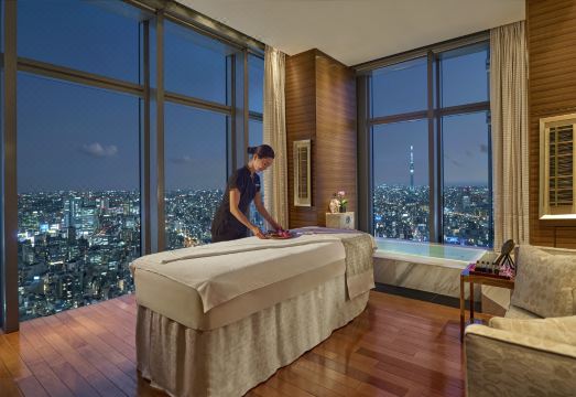 Mandarin Oriental Tokyo Hotel Overview