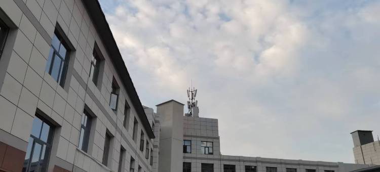 金泰大酒店(子长市政府店)图片