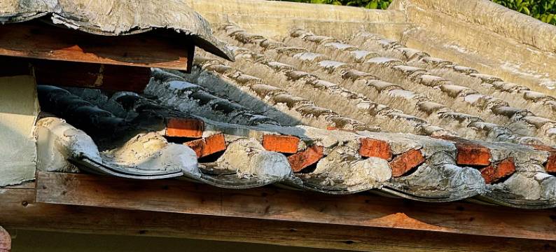 栖野温林花园民宿(万宁神州站店)图片