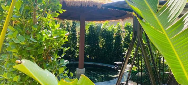 橄榄河热泉酒店图片