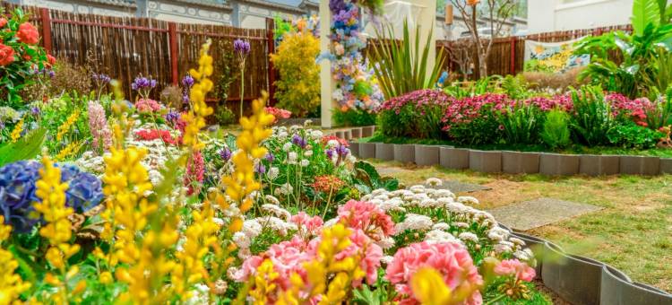 屿梦｜苍洱日出•云端山海度假民宿(大理古城店)图片