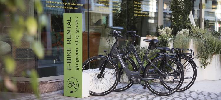 波代诺内公园贝斯特维斯塔优质酒店(Best Western Plus Park Hotel Pordenone)图片