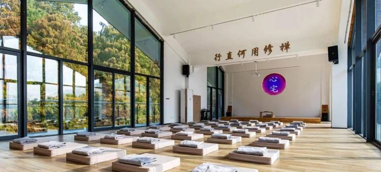 心宅森林净心禅舍(金湖水上森林景区店)图片