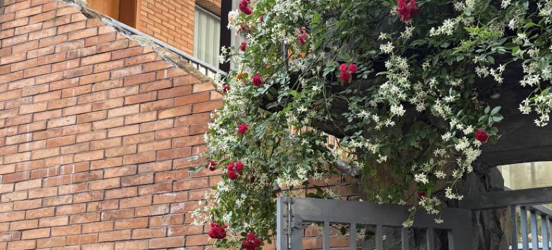 一亩三分in春树下民宿(陶溪川文创街区店)图片