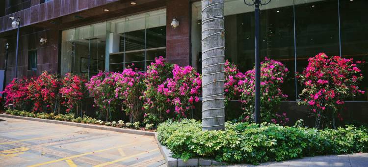 厦门森海丽景酒店(厦门站南广场店)图片