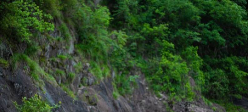 桐庐岭上白云民宿(白云源度假区店)图片