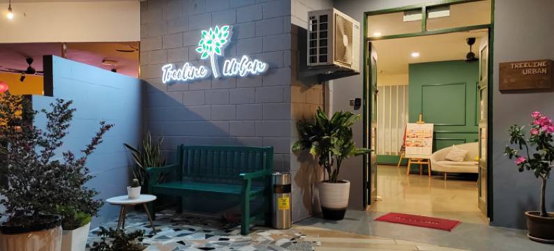 树线城市旅馆(Treeline Urban Inn)图片