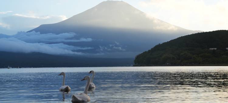 曼诺山中湖别墅(Manor House)图片