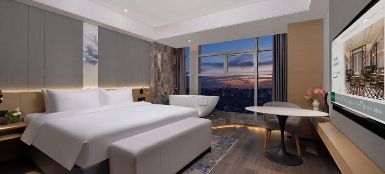 乌鲁木齐南湖市政府美仑酒店图片