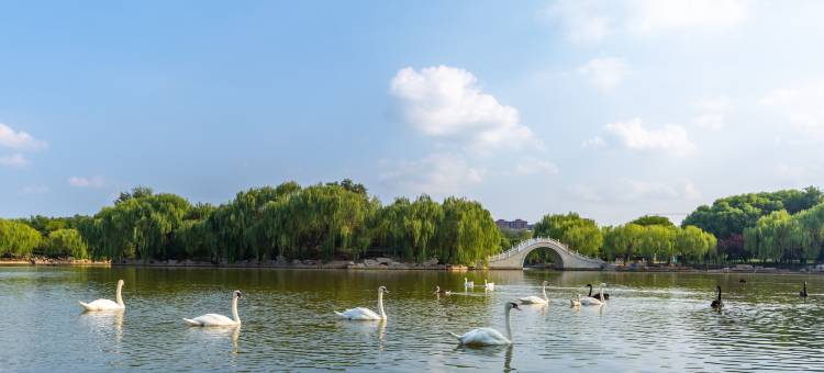 99优选酒店(广平广安中路店)图片