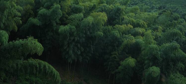 云生处山居度假山庄图片