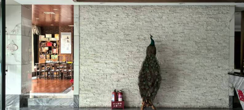 逸龙湾休闲会所图片